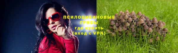 ПСИЛОЦИБИНОВЫЕ ГРИБЫ Алзамай