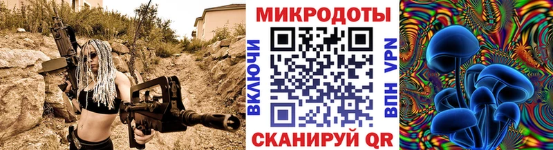 Псилоцибиновые грибы Psilocybe Минусинск